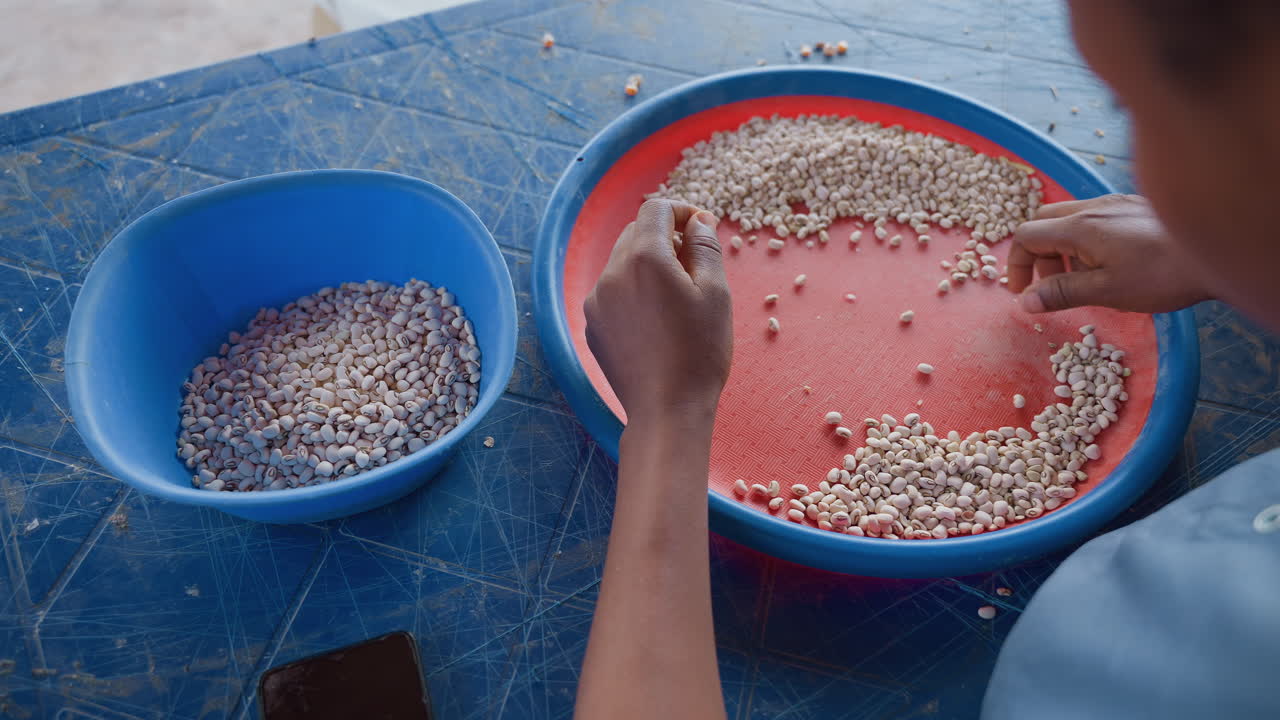 Hands carefully washing beans over colorful strainer. Female cook filtering beans into bowl in domestic setting. Household scene where cook meticulously sorts beans through strainer into container