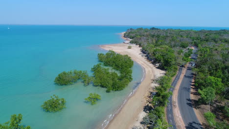 mangroves at darwin beach