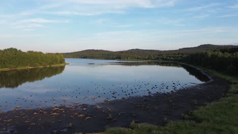 Ver-Mientras-Se-Mueve-Un-Poco-Por-Encima-Del-Nivel-Del-Agua-De-Un-Ancho-Río-Azul