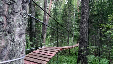 wooden suspension bridge in forest