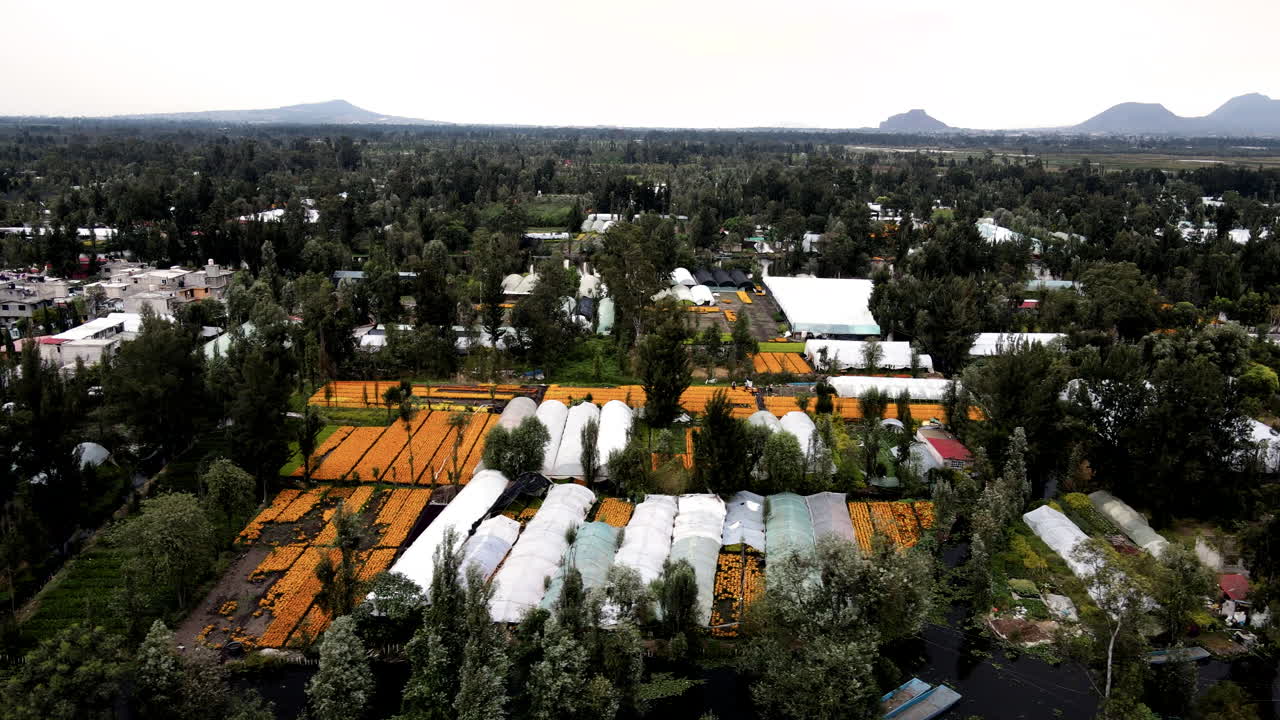 소치밀코 멕시코 시티에 있는 거대한 꽃 농장의 무인 항공기 보기