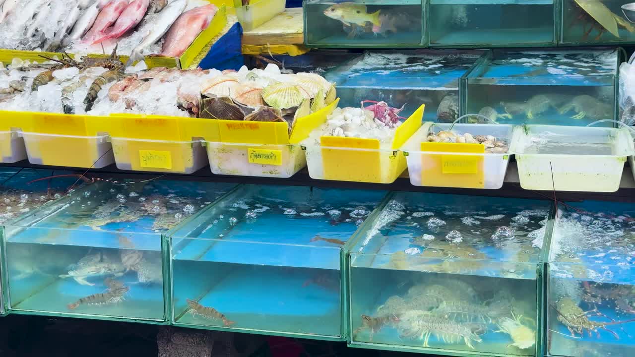 Live seafood and fish displayed in tanks and trays at a vibrant outdoor market stall