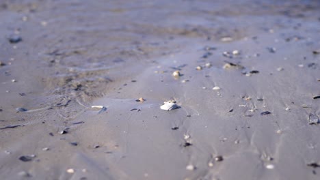 tide flowing over australian beach