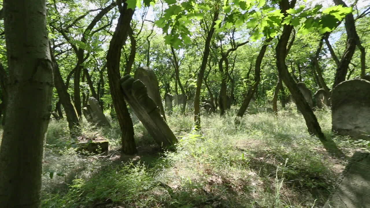 lápidas judías bellamente talladas con inscripciones hebreas en el cementerio judío de zdunska wola polonia
