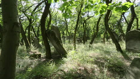 Beautifully-carved-Jewish-Gravestones-with-Hebrew-inscriptions-in-the-Jewish-Cemetery-in-Zdunska-Wola-Poland