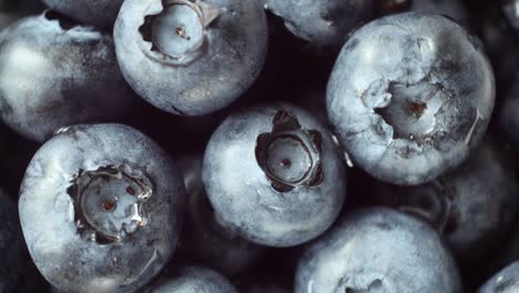 fresh, ripe blue berries rotate, wild berry. close up