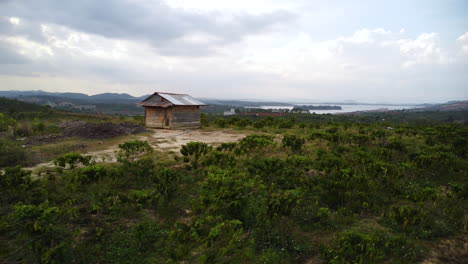 aerial view of green coffee field against cloudy sky in vietnam - drone shot