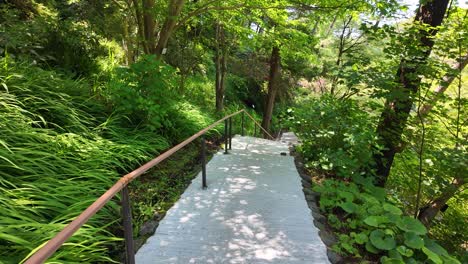 templo ryontonji en hamamatsu, japón, con escalones serenos que descienden en medio de vegetación exuberante, flores vibrantes y árboles diversos