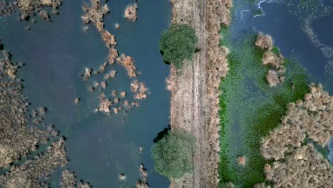 una serena vista aérea de arriba hacia abajo de un sendero cubierto de hierba que serpentea entre dos pequeños estanques, que ofrece un ambiente pacífico y tranquilo