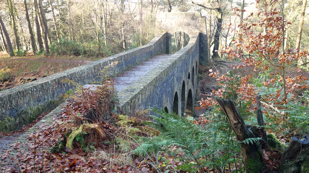 jardines en terrazas de rivington puente arqueado de piedra del bosque en un exuberante bosque verdor dolly right