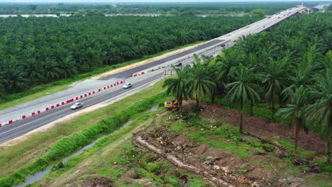 Luftdrohne-Fliegt-Um-Die-Sime-Darby-Plantage-Von-Sabrang-Estate-Herum,-Blühende-Palmenfarm-In-Teluk-Intan-Entlang-Der-Westküsten-Schnellstraße-E32,-Autobahn,-Bagger,-Der-Den-Hain-Entfernt