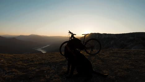 mountain bike and black labrador dog standing on a mountain cliff
