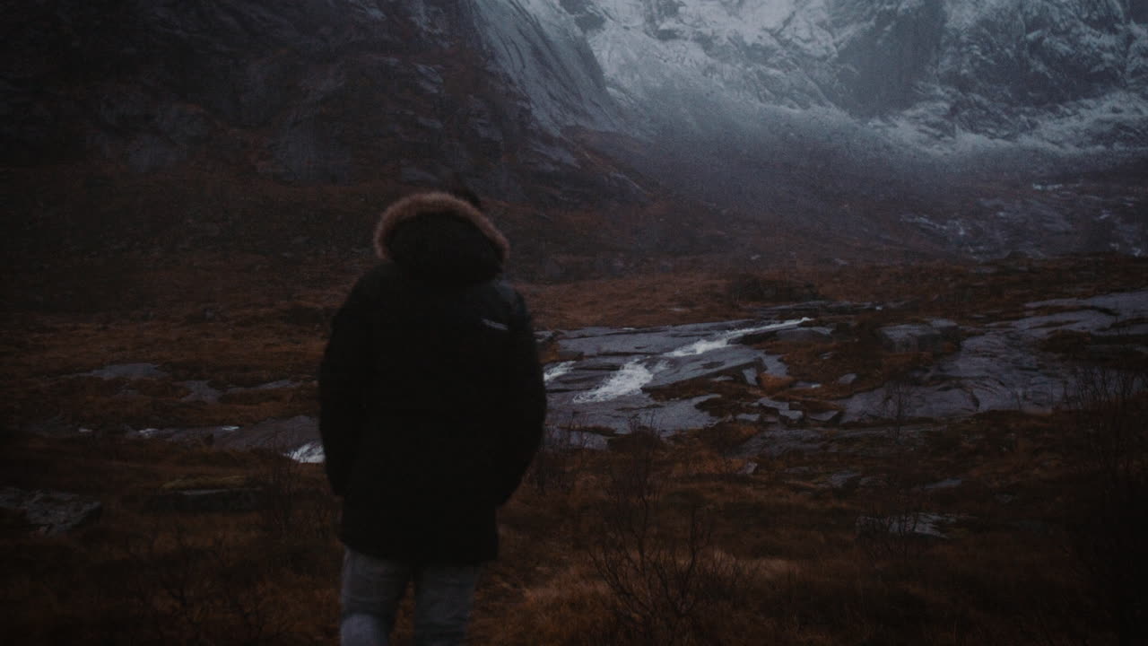 Viaggiatore solitario che fa escursionismo nella natura selvaggia, Lofoten, Norvegia, di spalle