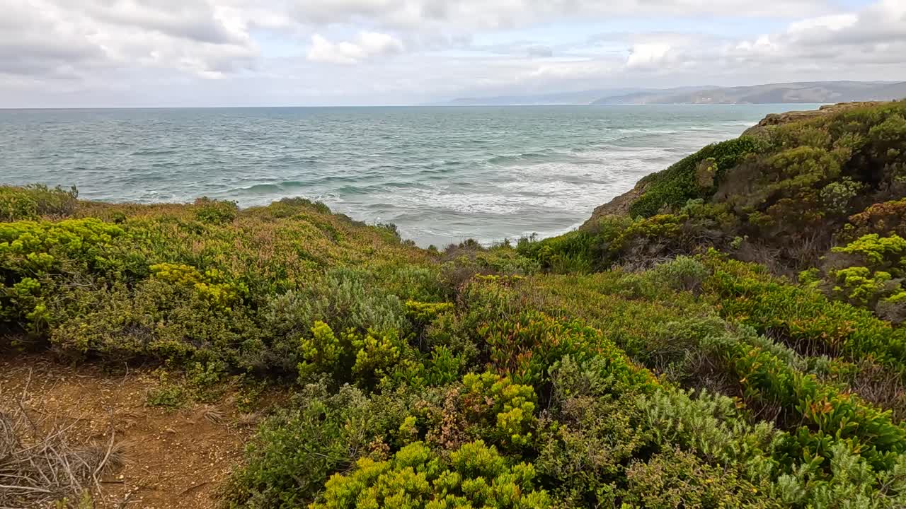 A serene coastal landscape with lush greenery and ocean waves under a cloudy sky, captured along the Great Ocean Road