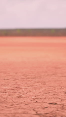 red dirt road in the australian outback