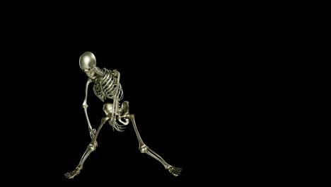 skeleton dancing. seamless loop animation on black background, robot hip hop, ghost character, dancing skull, transparent video with luma matte, 3d render