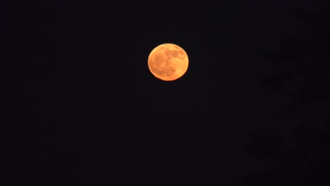 Airplane-Flies-Through-Moonrise-