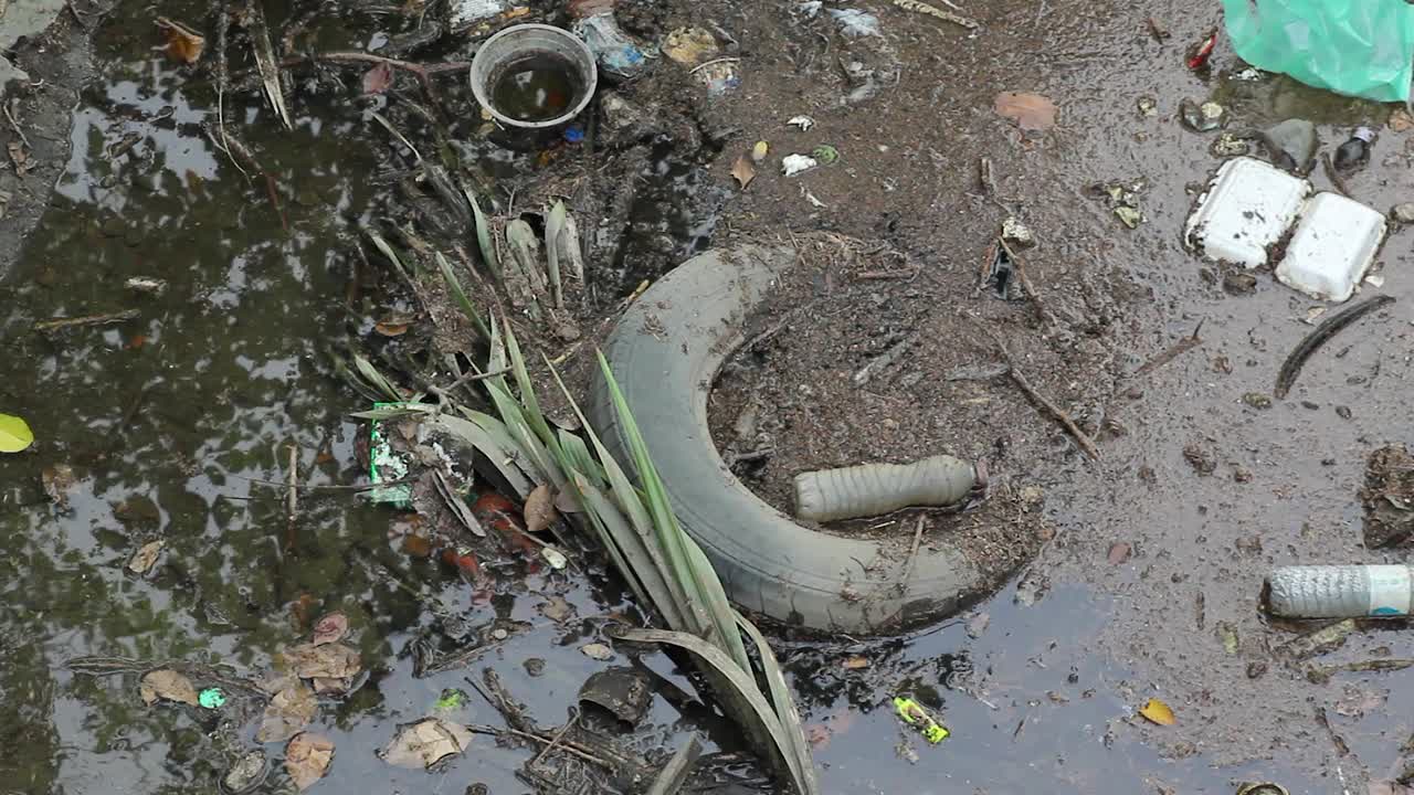 수면에 떠 있는 고무 타이어