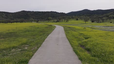 スペインのアビラ州黄色い野花に満ちた草原のある田舎の道路で高速でドローン飛行背景には茂みと山があり白い空があります