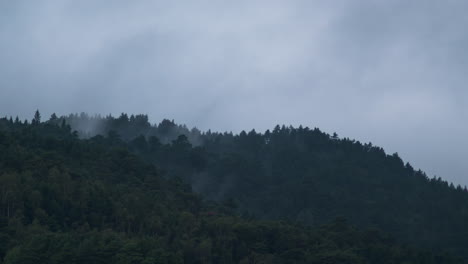 lapso de tiempo de un bosque con niebla que pasa por las colinas - lapso de tiempo de 4k