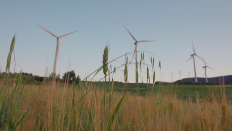 Sunset with Wind Turbines, Wind Energy.