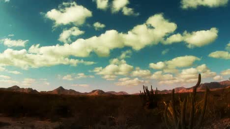 baja desierto 03