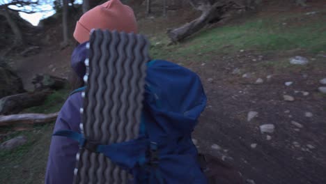 mujer viajera poniéndose guantes de invierno en un bosque