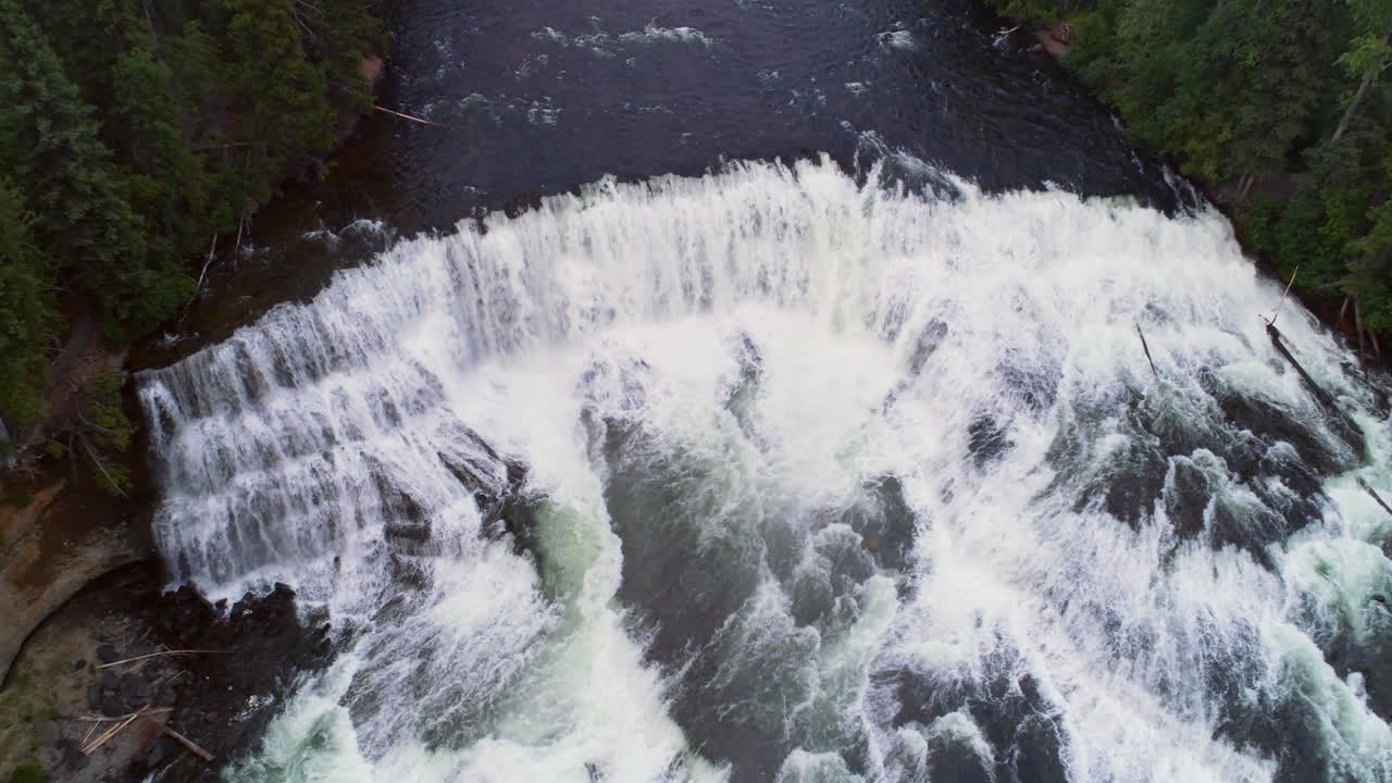 River flowing through green forest 4k