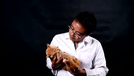 male veterinarian carry and playing a cat with care. on black background