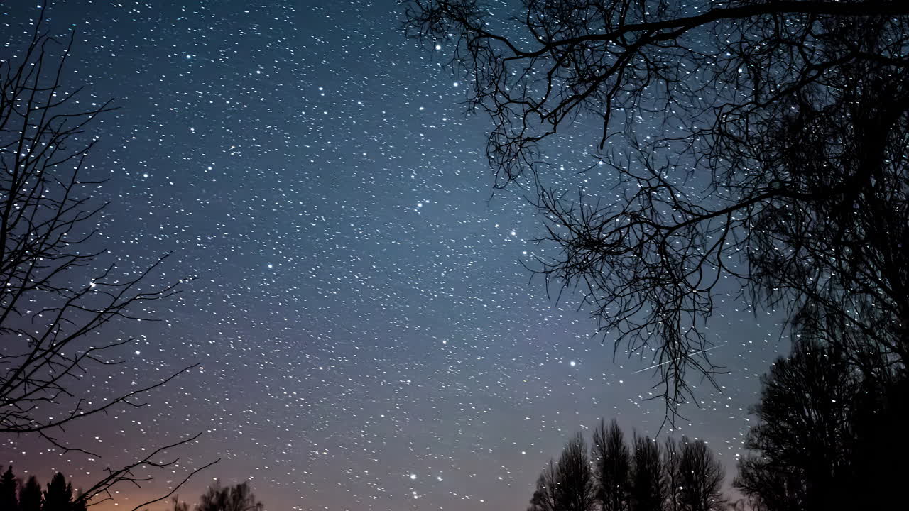 잎이 없는 나무 실루엣 뒤에 있는 밤하늘에서 빠르게 움직이는 별과 유성 - 시간 경과 영상