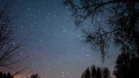 fast moving stars and meteors at night sky behind leafless tree silhouette - time lapse footage