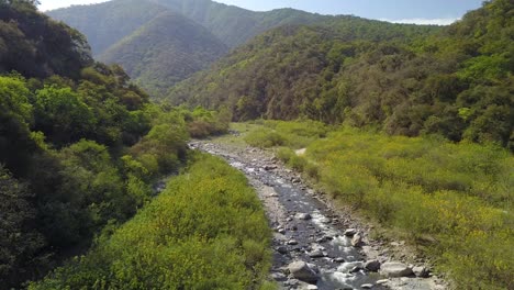 beautiful landscape in the mountain jungle in northwest argentina