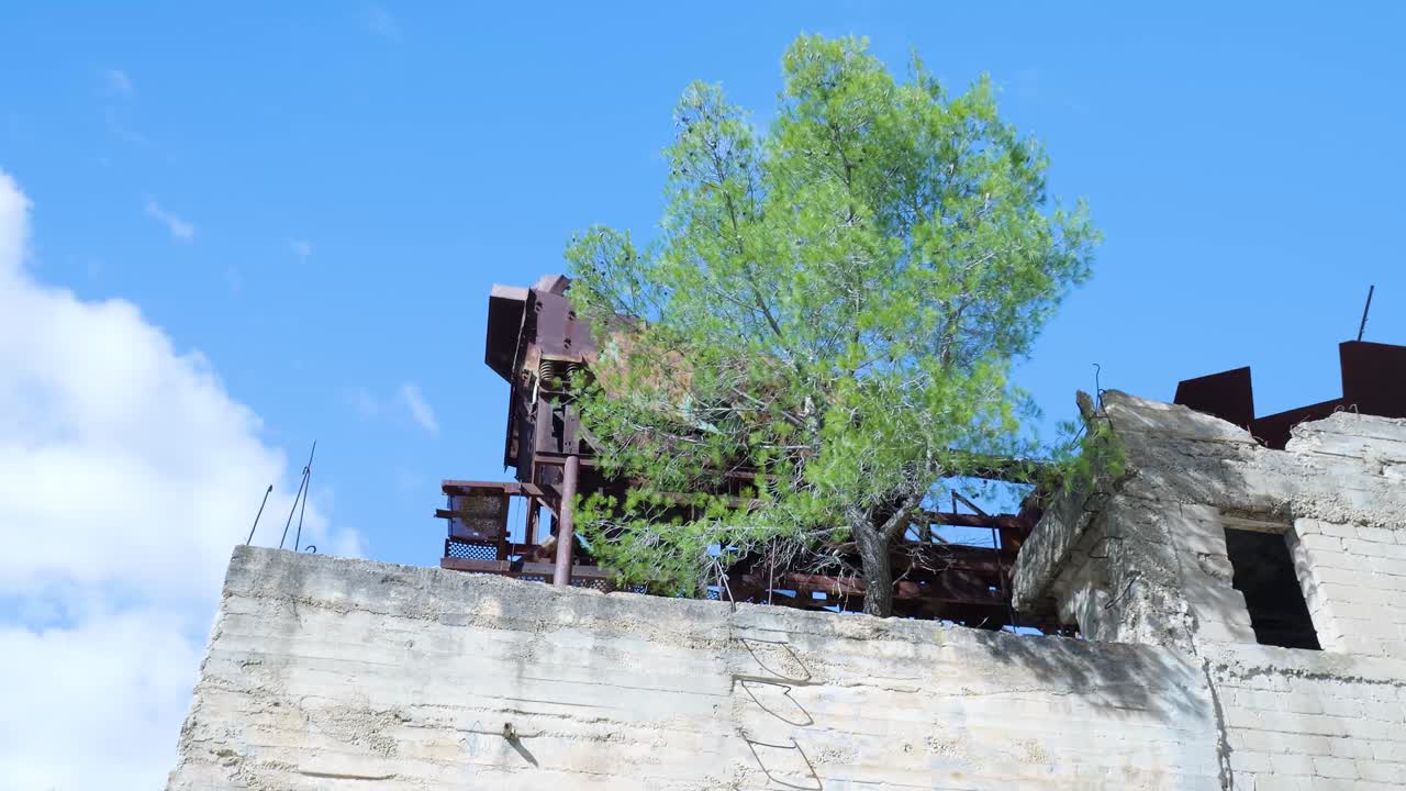 Abandoned Industrial Ruin with Rusty Metal and Tree