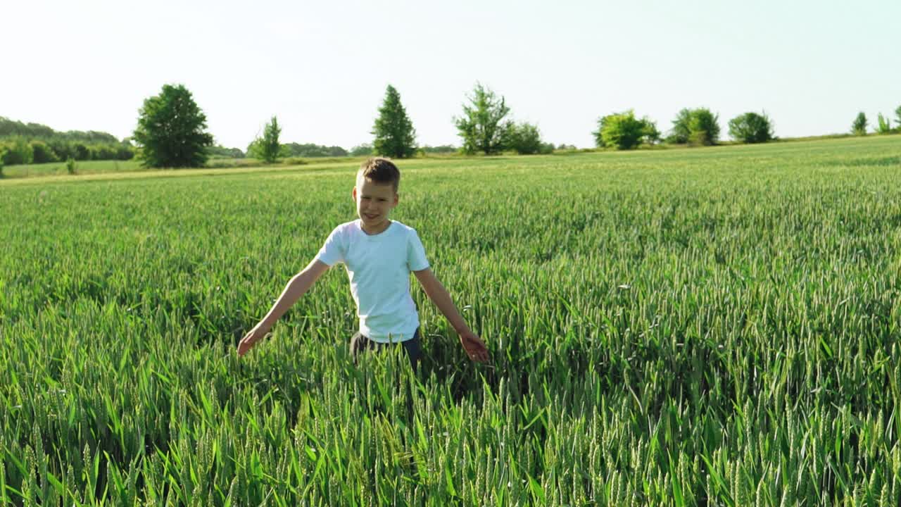 A child is spinning around himself with arms outstretched on the background of a green field with wheat spikelets. Slow motion. Wonderful view