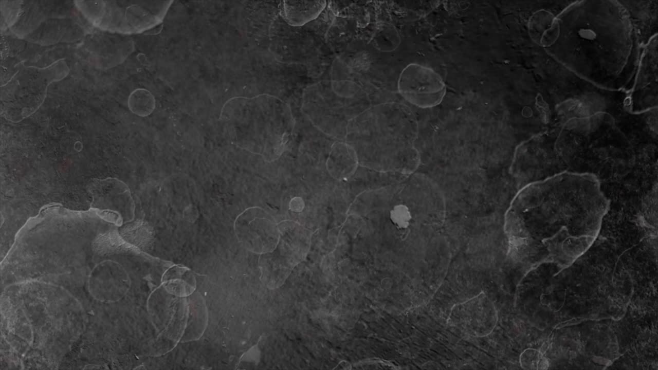 Abstraktní organické buňky plovoucí na tmavém texturovaném povrchu