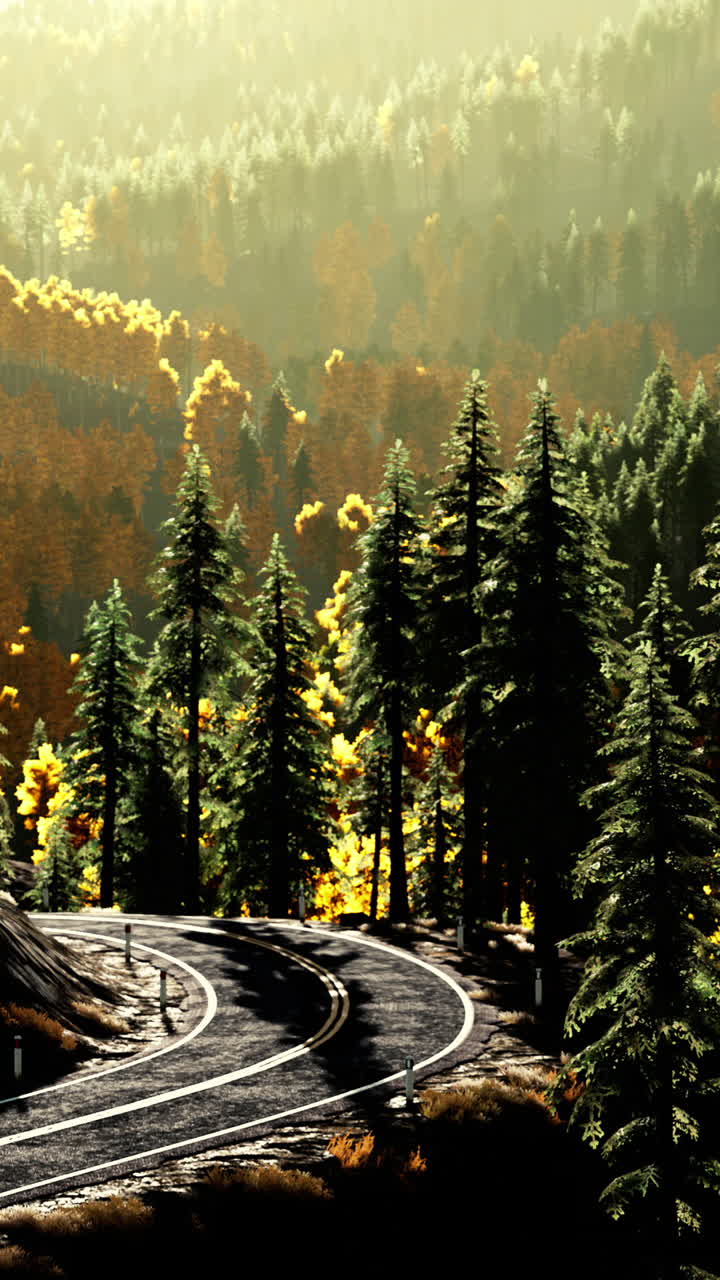 휘어지는 숲길을 가로질러 경치 좋은 가을 드라이브