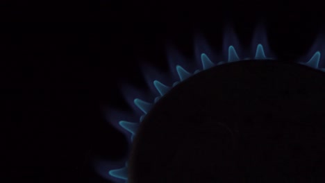 una estufa de gas encendida por un quemador encendido. concepto de gas natural.