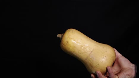 hand holding a butternut pumpkin with black screen background