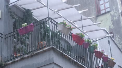 balcón lluvioso con flores