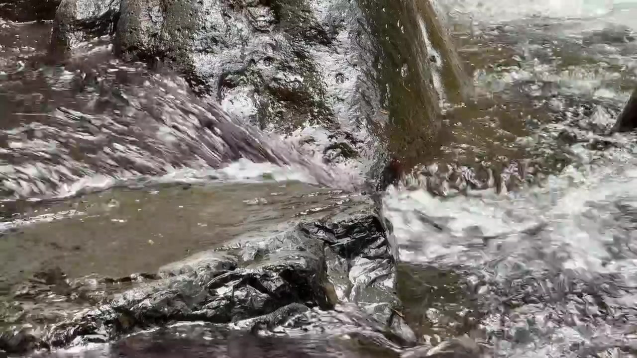 Acqua limpida che scorre sopra rocce scure del fiume
