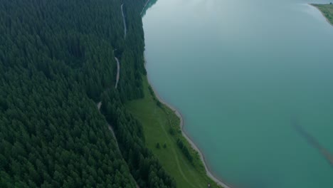 Camino-Rural-A-Través-De-Un-Exuberante-Bosque-De-Pinos-Cerca-De-La-Presa-De-Frumoasa-En-El-Condado-De-Harghita,-Rumania