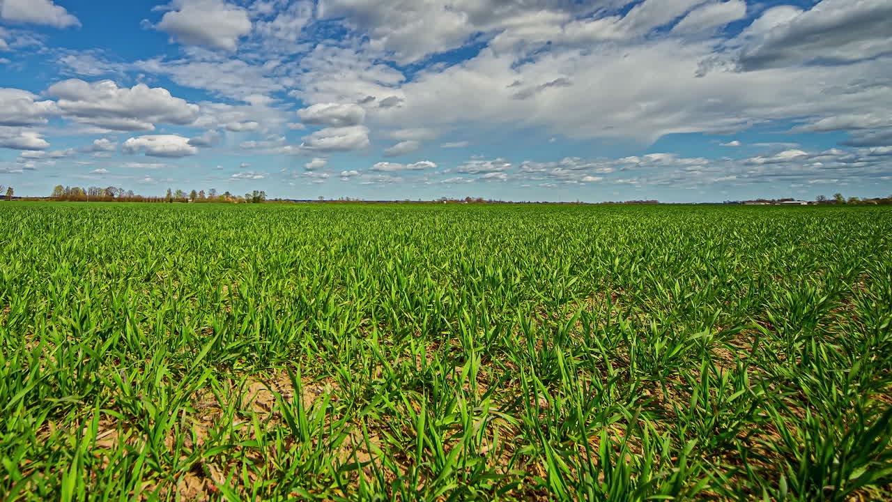 timelapse de un campo agrícola en un día soleado