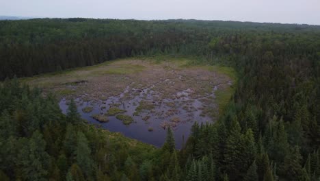 Toma-Panorámica-En-Humedales-De-Canadá.