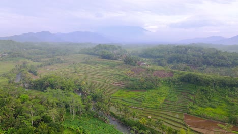 Drohnenaufnahme-Einer-Wunderschönen-Tropischen-Landschaft-Mit-Blick-Auf-Plantage-Und-Fluss-Mit-Berg-Im-Hintergrund