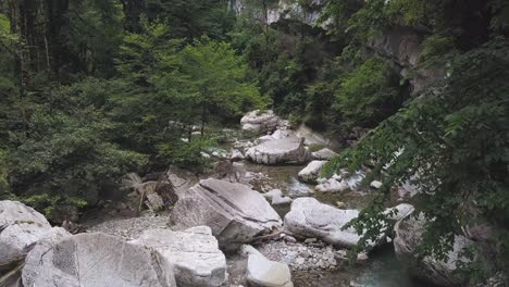 mountain stream in a forest canyon