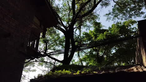 Old-style-stilted-buildings-in-the-sun