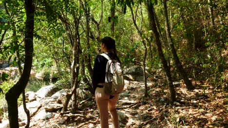 backpacking hispanic woman looking out at pond clearing in forest