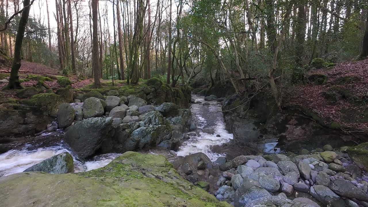 Vinterscene med bæk i skov i vinterlys, Mahon-floden, Comeragh-bjergene, Waterford, Irland