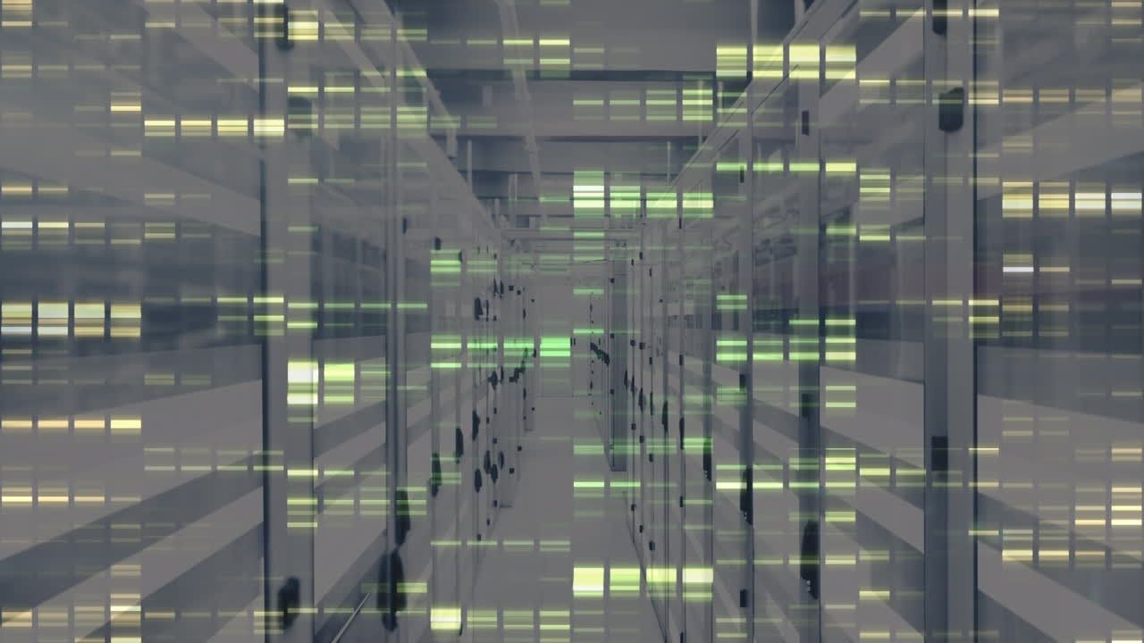 Animation of data processing over servers