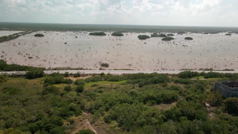 vista de drones de la costa de yucatán en méxico.